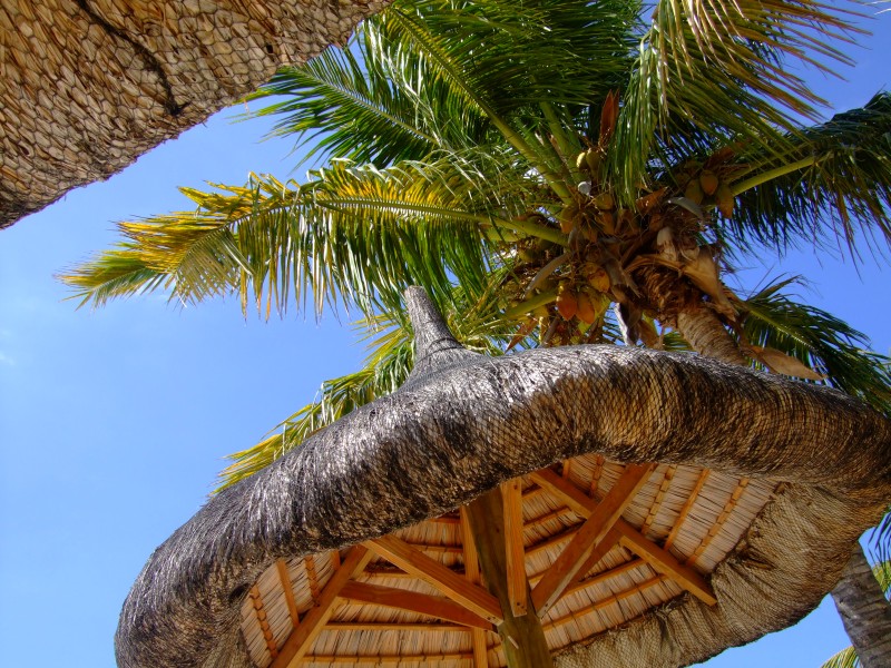 Mauritius 2010 - 0198 